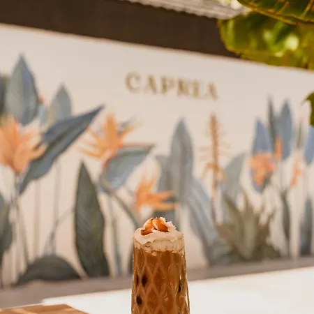 Отель Caprea 3*